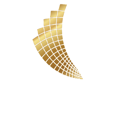 Mavi Air Dubai logo