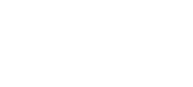 TAV Passport Logo